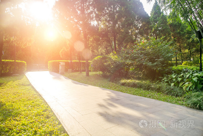 明媚的阳光和阴影在一个公园的行人路上