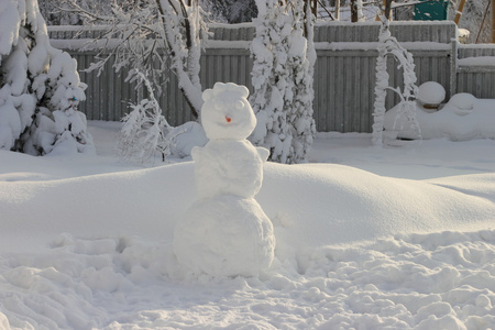 从胡萝卜鼻子大堆雪人