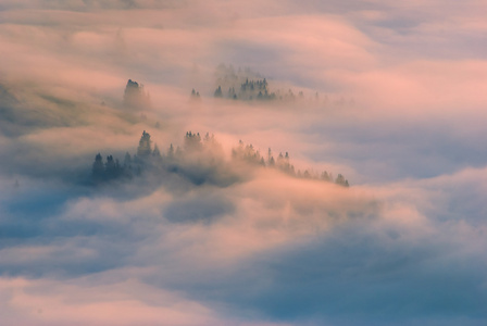 喀尔巴阡山间云雾缭绕