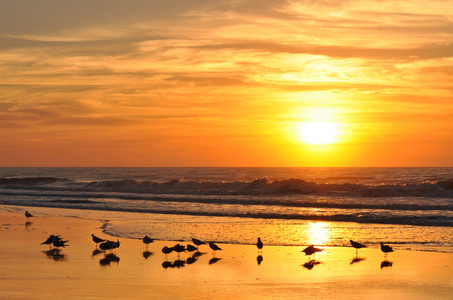 黎明破晓图片-黎明破晓素材-黎明破晓插画-摄图新视界