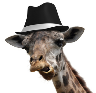 傻傻的长颈鹿，戴着一顶呢帽和作出不寻常的脸