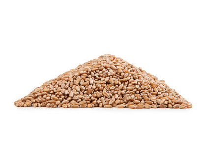 小麦有机杂粮