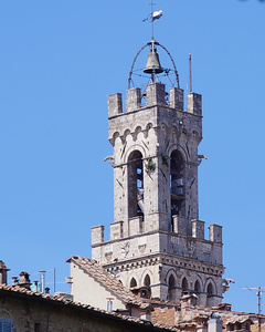 意大利锡耶纳的吉亚塔楼的顶上