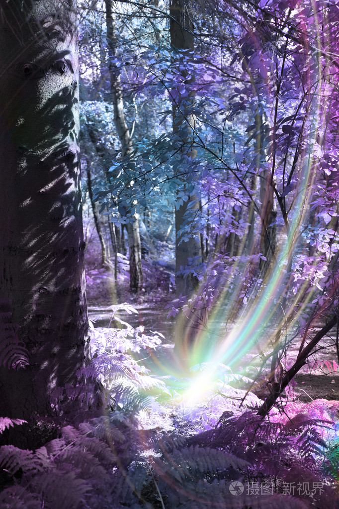 发送遥远的疗愈能量