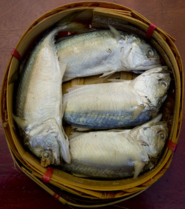 新鲜原料鲭鱼鱼市场