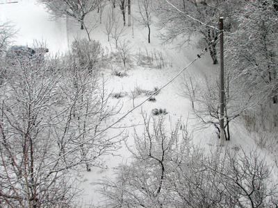 落雪的冬天