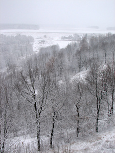 落雪的冬天