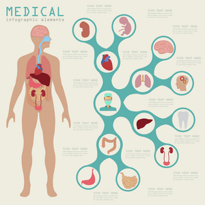 医疗和卫生保健的信息图表，用于创建 infogr 的元素