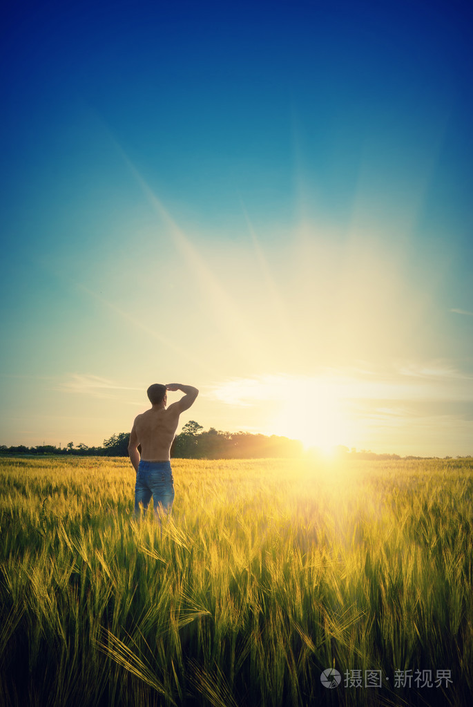 在麦田中的男人