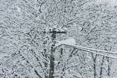 严雪下冬天的路灯