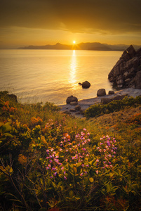 上述海湾日落