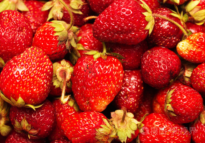 成熟的红色草莓