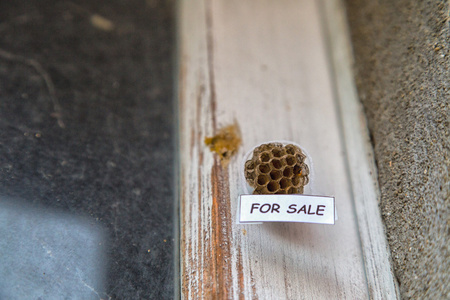 作为一个房子待售的蜂巢图片
