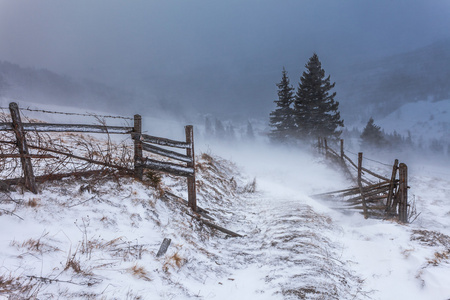 清雪风暴在洛矶山脉图片