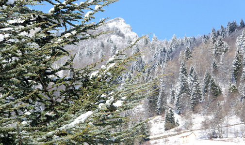 山风景用冬天的雪