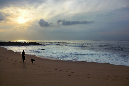 人和狗沿着海滩散步
