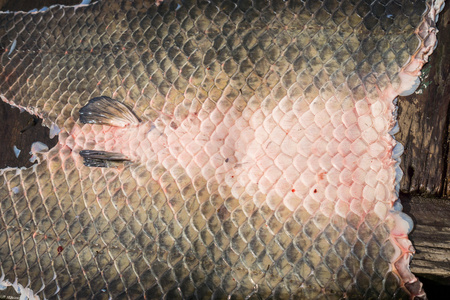 arapaima pirarucu 皮肤在木桌上, 顶视图, 背景