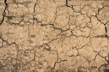 破解土壤干旱的大地纹理