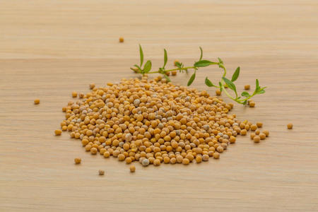 芥菜籽贴上标签图片