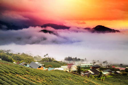 落日山景