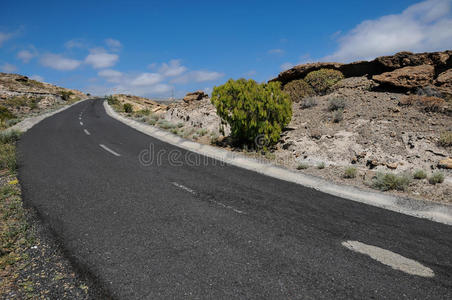 沙漠公路