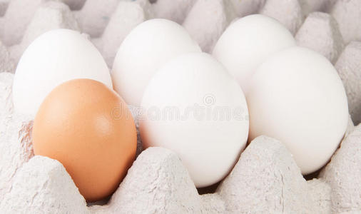 托盘上有五个白鸡蛋和一个棕色鸡蛋