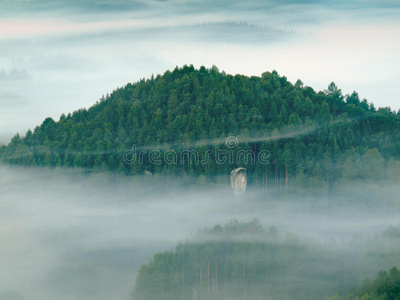 雨夜过后，深谷里有深蓝色的雾。洛矶山贝娄观景点。雾在山峦和树峰之间移动。