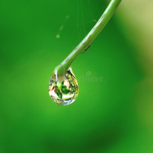绿草上的水滴