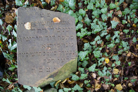 犹太人墓地上的旧墓碑