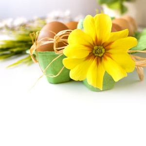 复活节贺卡用鸡蛋和花
