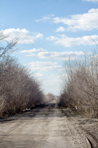 春天乡村道路