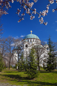 在贝尔格莱德，塞尔维亚首都市圣萨瓦大教堂