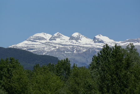 山脉与树