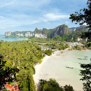 热带海滨风景