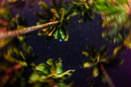 模糊焦的满天星丛林中，晚上奇迹和情感的爱妮岛巴拉望岛在菲律宾概念