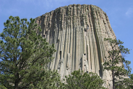 火山插头魔鬼的塔和树照片