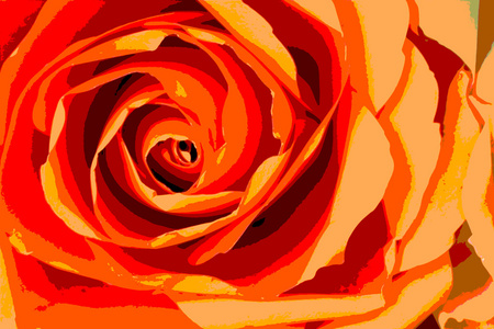 抽象橙色玫瑰背景, 后置样式图