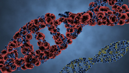 蛋白质螺旋图片