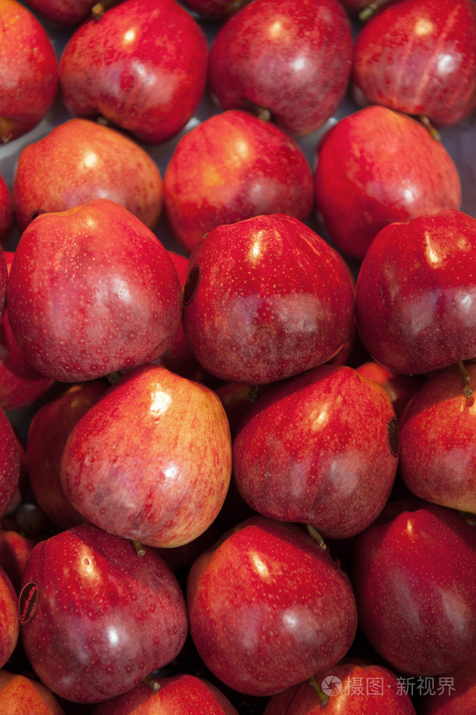 红苹果照片-正版商用图片1ia6r6-摄图新视界