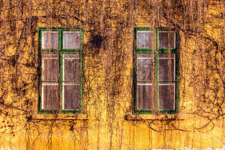 旧脏墙上的旧脏 windows