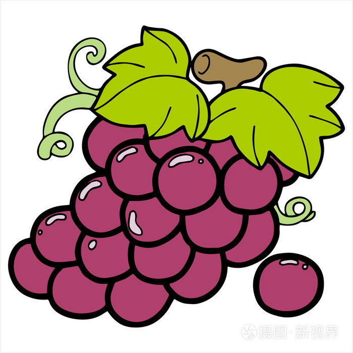 葡萄卡通插图上白色孤立