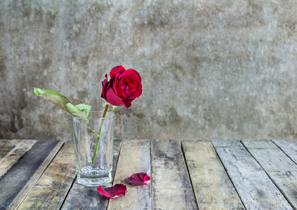 新鲜红玫瑰在玻璃瓶上木制的背景