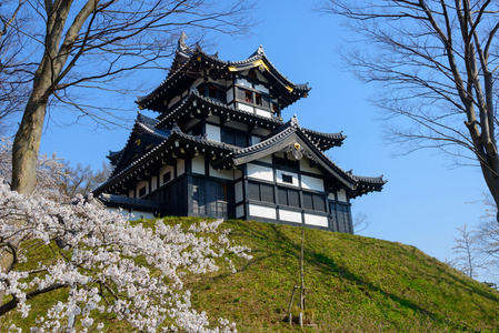 樱花和高田城堡