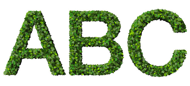 由孤立的白色背景上的绿色树叶制成的 B C 字母