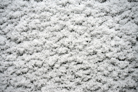 白色新鲜的冬天季节秋天雪背景