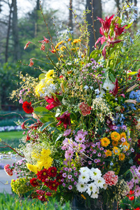 在春天公园鲜花花束图片