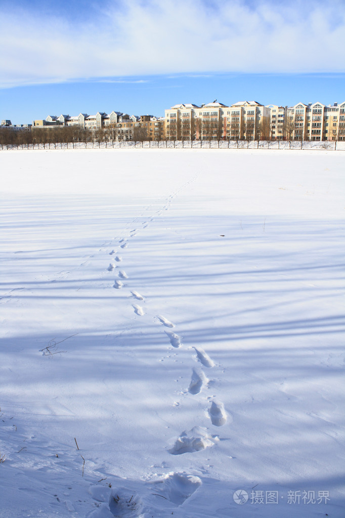 获奖雪景脚印图片图片