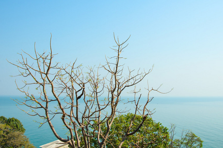 在夏天的海景