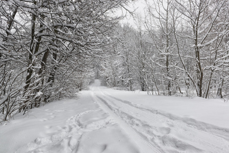 雪山 公路