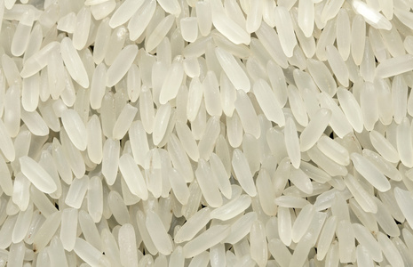 水稻籽粒的背景